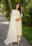 Subtle Rays Kurti